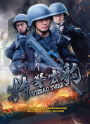 网页加载速度对搜索引擎蜘蛛抓取效率的影响研究